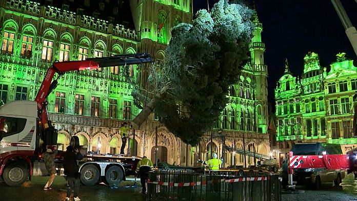 NO COMMENT: Trabajadores colocan un árbol de Navidad de 20 metros de altura en Bruselas