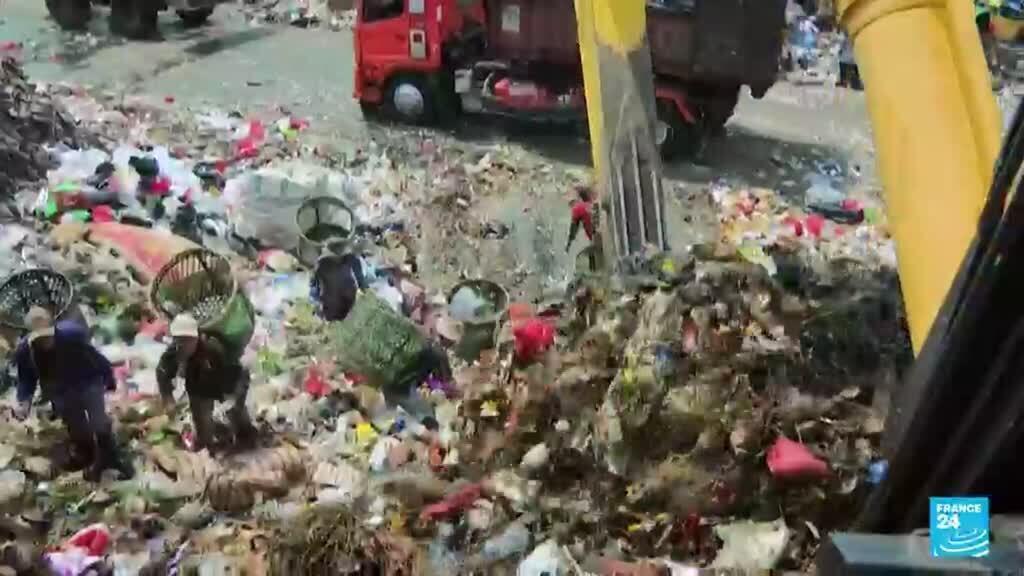 La contaminación por plásticos está en todas partes