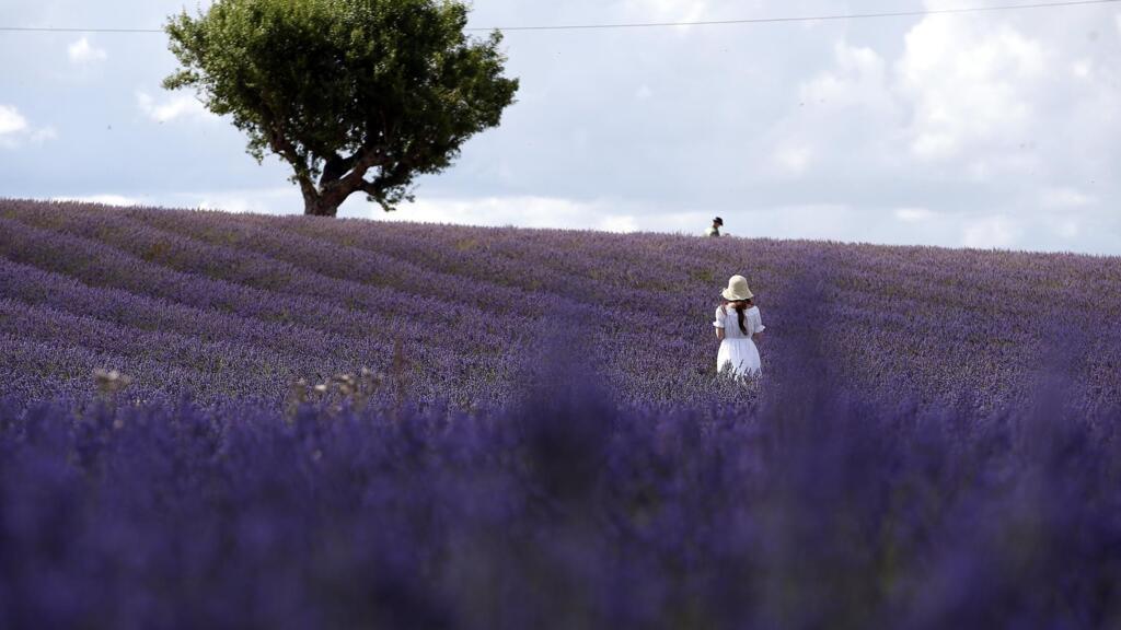 Francia: el largo camino para lograr estabilidad como agricultor