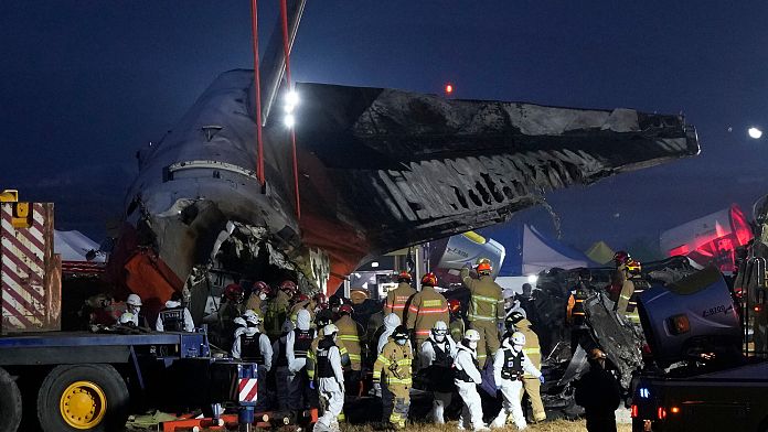 El accidente aéreo en Corea del Sur pudo deberse al impacto de un pájaro, según un funcionario