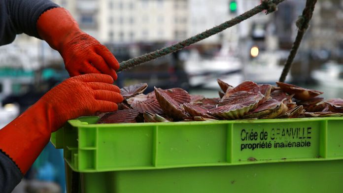 Miles de pescadores protestan contra las cuotas de pesca frente a la sede de la Comisión en Madrid