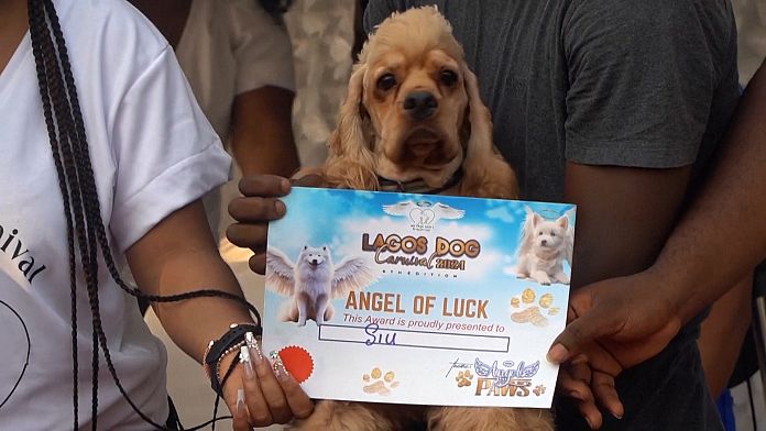 NO COMMENT: Así ha sido el carnaval canino de Nigeria