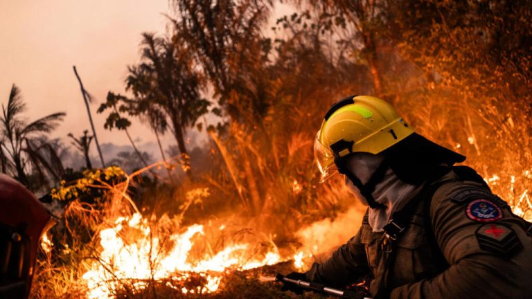 Incendios en la Amazonía: la estrategia brasileña para hallar a los culpables