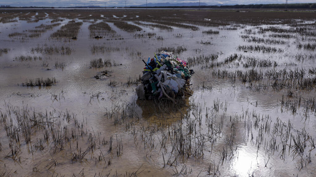 Valencia: devastación medioambiental por las inundaciones