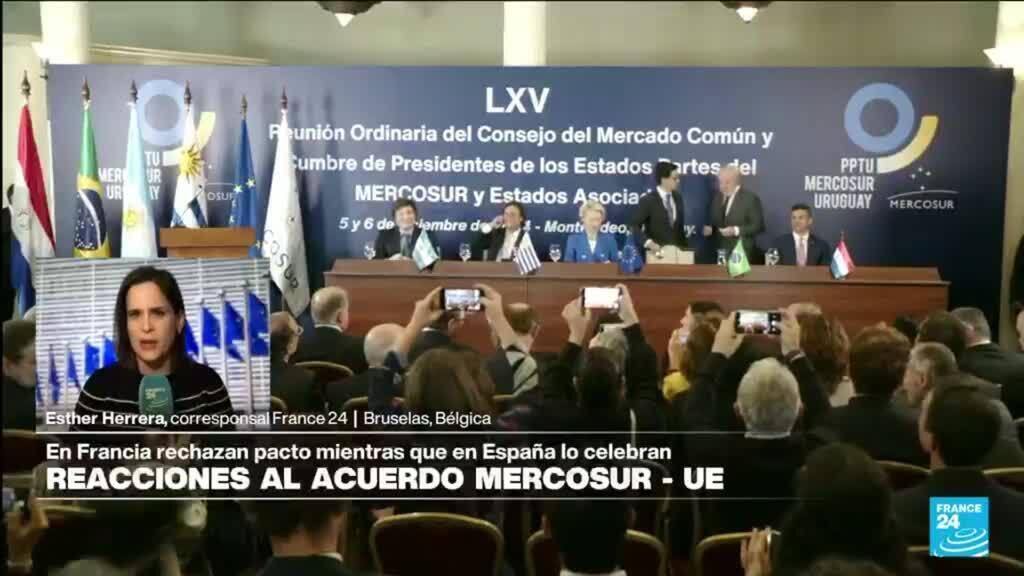 Informe desde Bruselas: miembros de la Eurocámara reaccionan a acuerdo con Mercosur