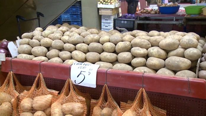 Los agricultores rumanos renuncian a cultivar patatas ante el aumento de los costes