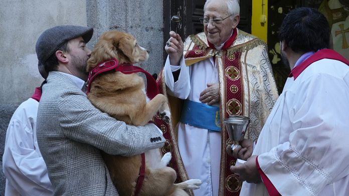 NO COMMENT: La bendición anual de Madrid a las mascotas en la iglesia de San Antonio