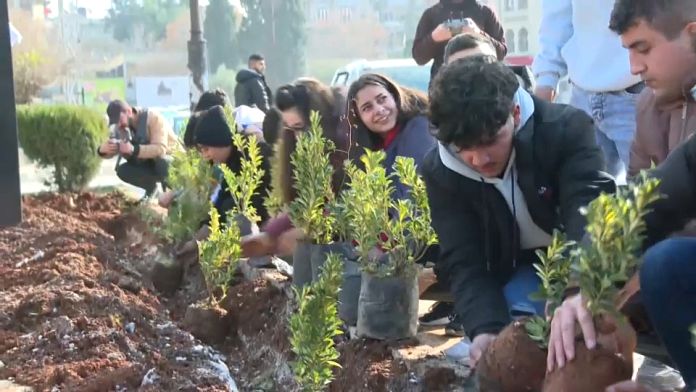 Voluntarios sirios de Alepo plantan árboles para reconstruir la ciudad