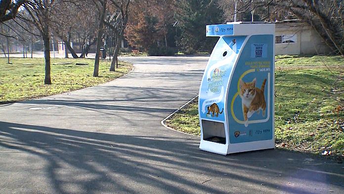 NO COMMENT: Ayuda a los gatos callejeros y al medio ambiente con estas nuevas máquinas expendedoras de Bucarest