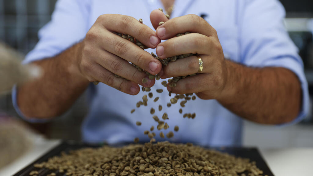 Café: la inflación del ‘oro negro’ por la crisis climática