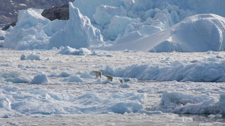 ¿Por qué Groenlandia? Trump vuelve a fijar sus ojos en la isla más grande del mundo