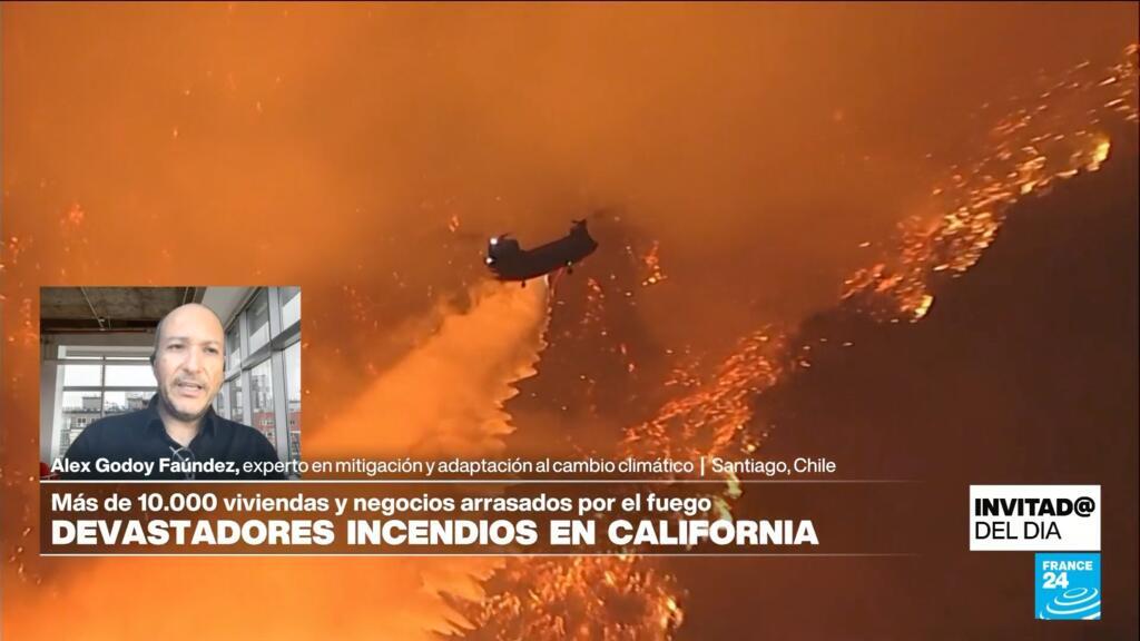 Incendios en California: ¿se pudo limitar la magnitud de la tragedia?