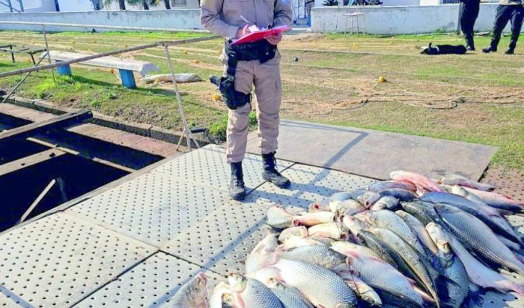 Más de 70.000 metros de mallas de pesca ilegales fueron decomisados en 2024