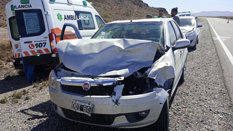 Dos vehículos colisionaron con guanacos cerca de Las Plumas