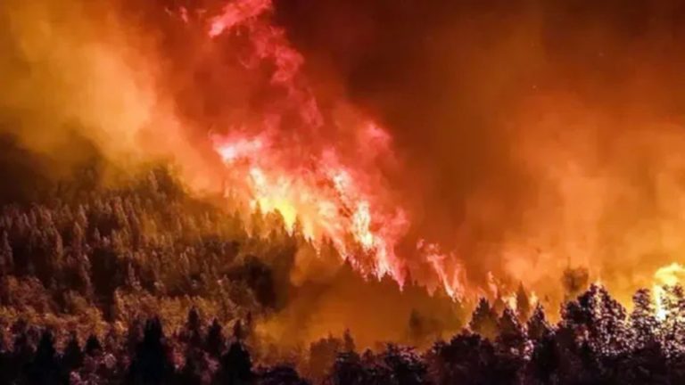 El incendio en el Parque Nacional Nahuel Huapi ya consumió 7.000 hectáreas