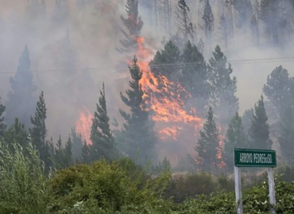 Más de 3.000 hectáreas quemadas por el incendio en Epuyén