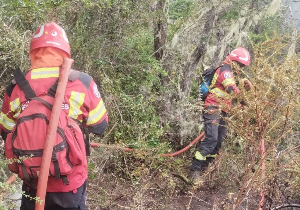 Provincia continúa con un amplio despliegue para controlar los incendios forestales en Epuyén y Atilio Viglione