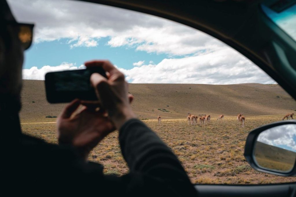 Parque Patagonia: El Unco y una oportunidad para conocer el rewilding desde adentro