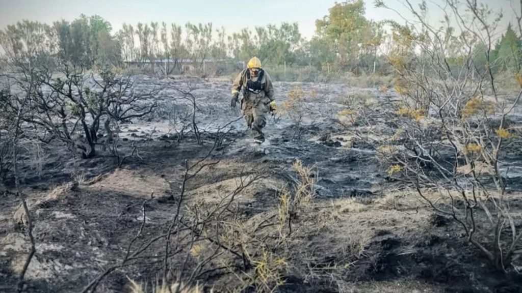 Un loro fulminado por un rayo provocó un incendio y corte de luz en Puerto Madryn