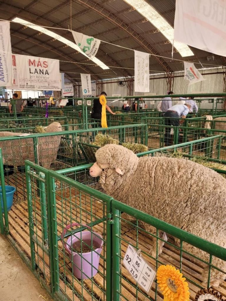 Provincia acompaña la 87° edición de la Exposición Ganadera de la Sociedad Rural de Comodoro Rivadavia