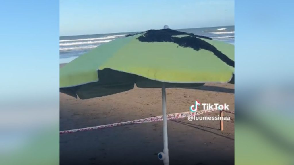 Un enjambre de avispas invadió la playa de San Bernardo y el video se volvió viral