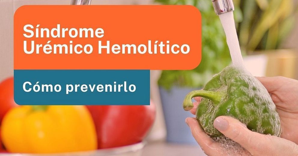 El Gobierno recuerda medidas de prevención del Síndrome Urémico Hemolítico