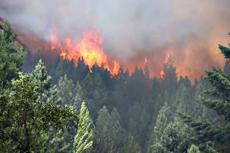 Crítico avance del fuego y evacuación de más de 200 viviendas al cierre de esta edición