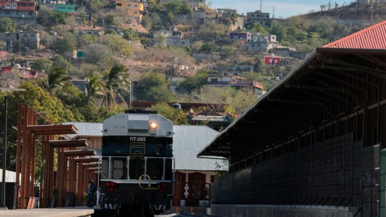 México: el tren interoceánico pasa silencioso sobre la naturaleza y las comunidades autóctonas
