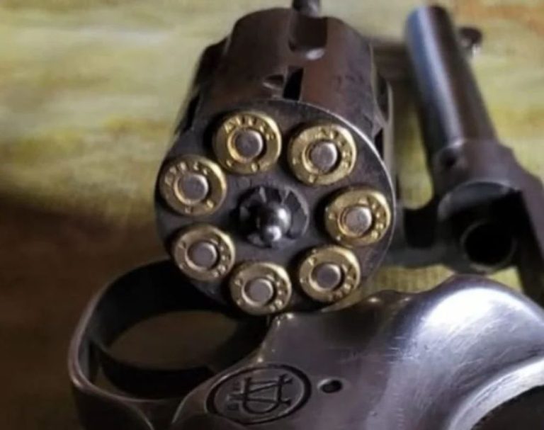 Allanamiento en un campo: secuestran armas y municiones tras un presunto ataque a un animal