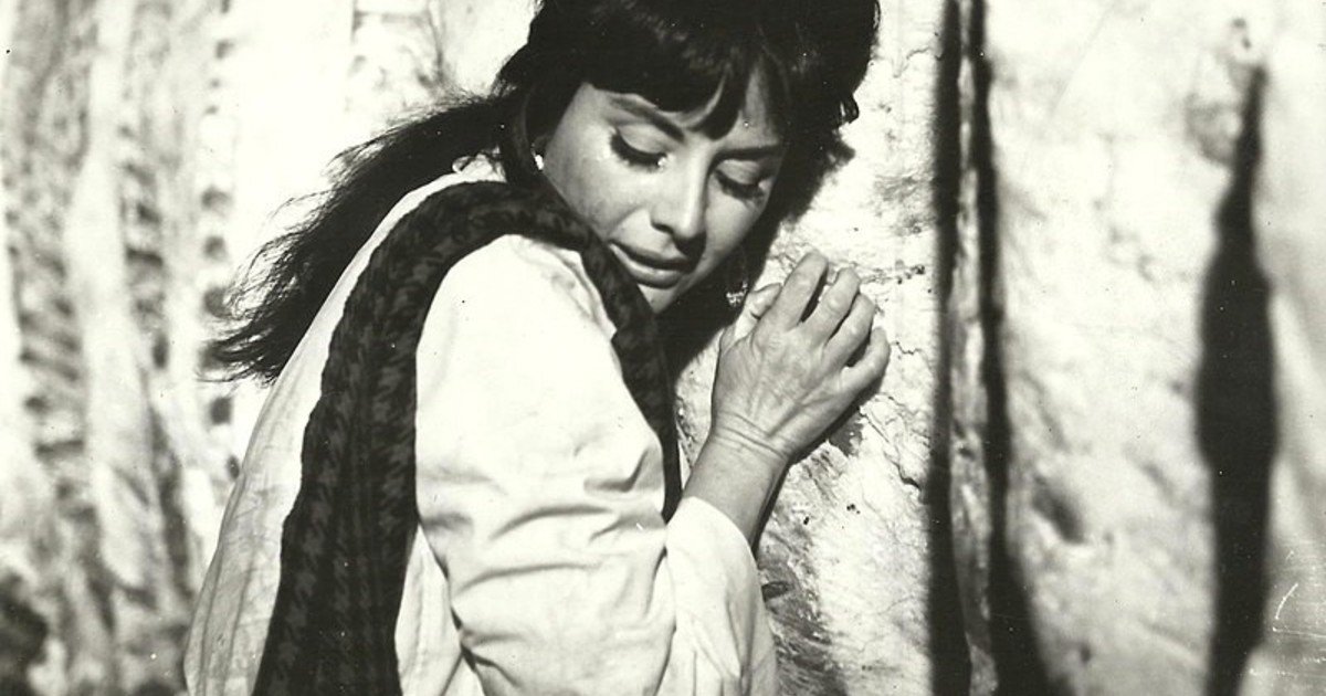 "Sangre y Sol": Una exposición que desentraña la carne como símbolo nacional