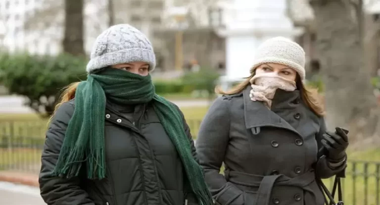 Ola polar, récord de consumo y caos energético: el Gobierno corta el gas a industrias