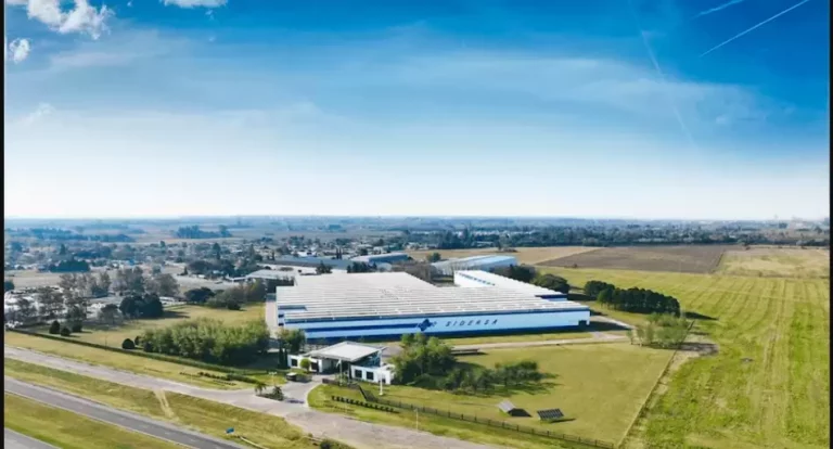 El Gobierno de Milei está a punto de aprobar la inversión siderúrgica más importante del Siglo XXI