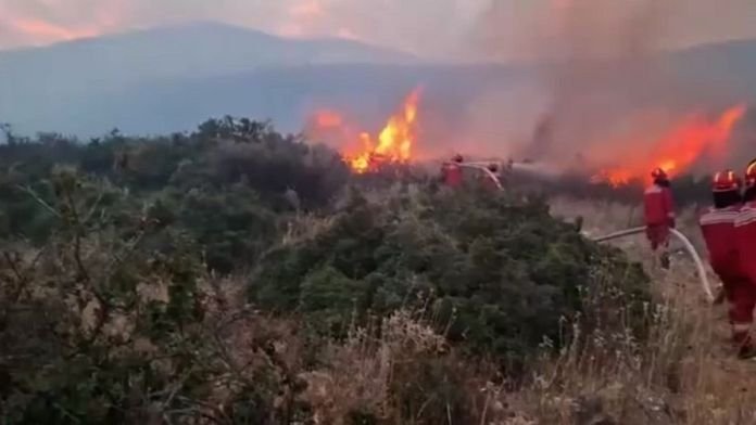 Albania y Bulgaria piden a ayuda a la UE para hacer frente a los incendios