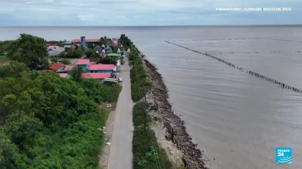 Surinam padece la pérdida de sus manglares en medio de la erosión costera