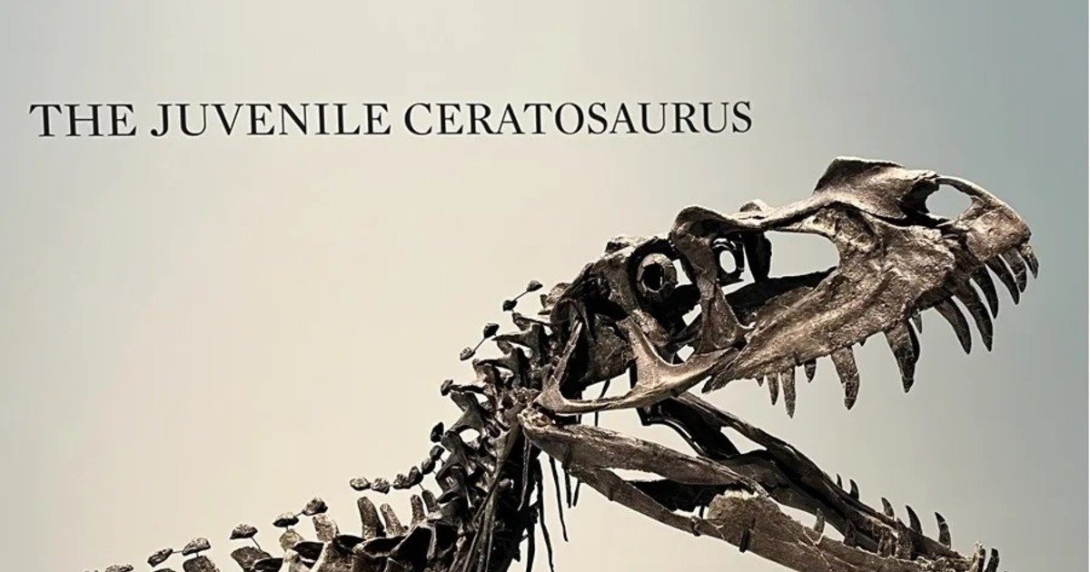 Sotheby's presenta en Nueva York la estrella de su nueva subasta, un ´dinosaurio bebé´