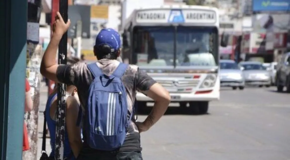 Nuevo pliego de transporte: voces y votos en el Concejo Deliberante