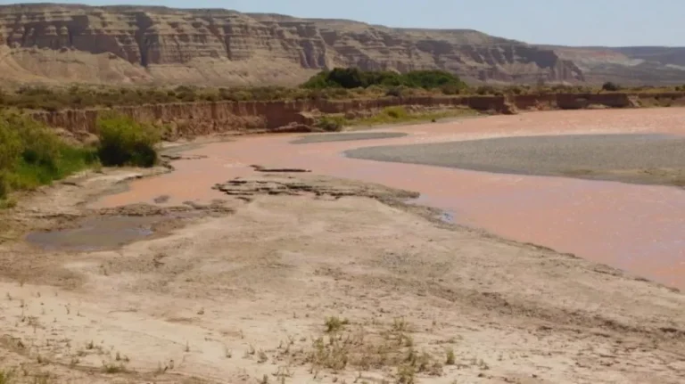 Alerta por la bajante del río Chubut: productores temen desabastecimiento