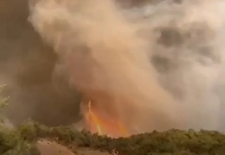 Impactante tornado de fuego arrasó un bosque en Turquía
