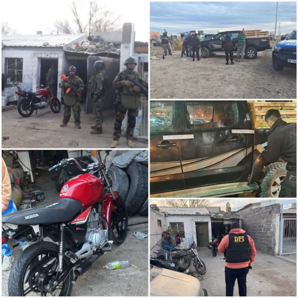 Maltrato animal en la capital: dos allanamientos e identificación de sospechosos