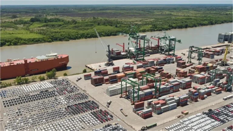 Cocaína en un cargamento de arroz: allanan el puerto de Zárate por 222 kilos de droga hallados en Bélgica