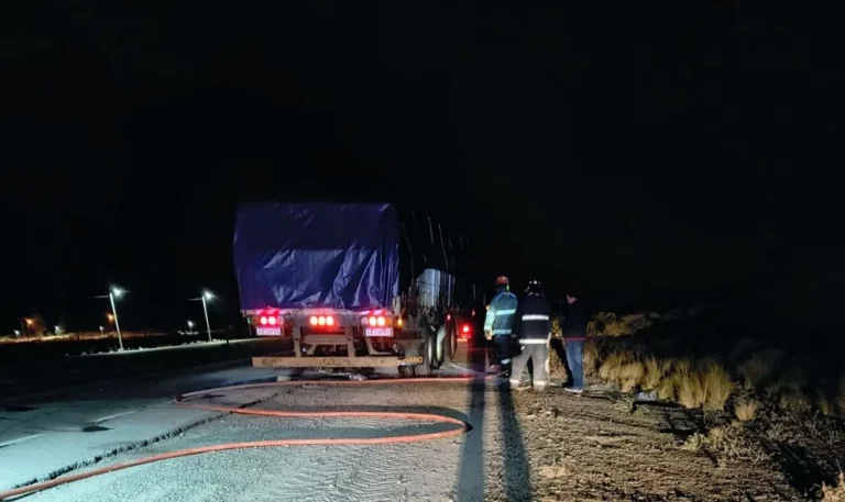 Camión sufrió principio de incendio en Ruta 3: el conductor logró controlar las llamas