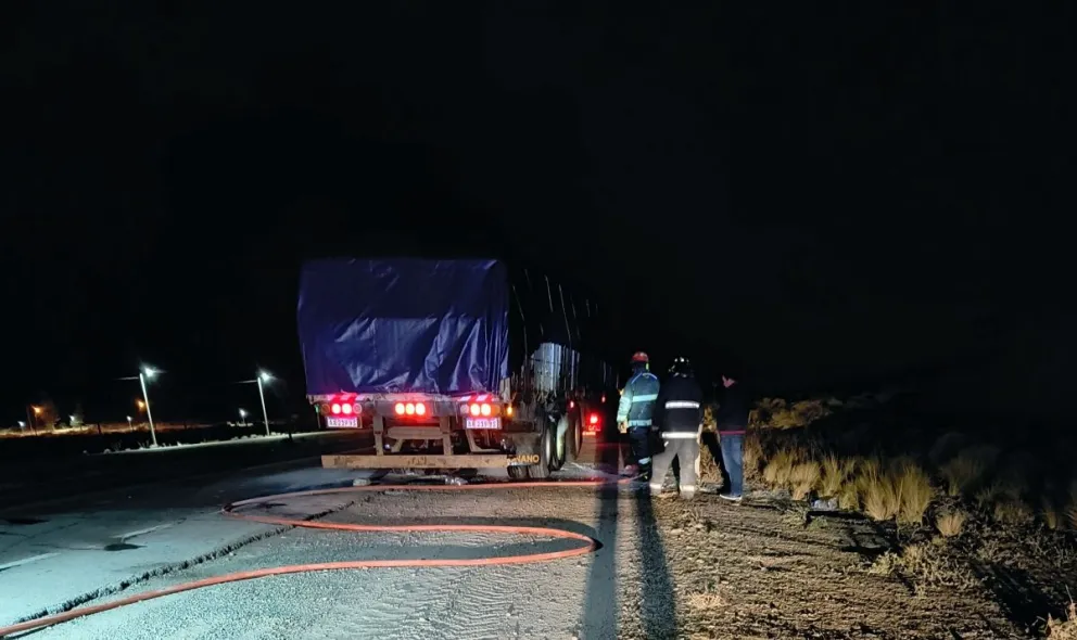 Camión sufrió principio de incendio en Ruta 3: el conductor logró controlar las llamas