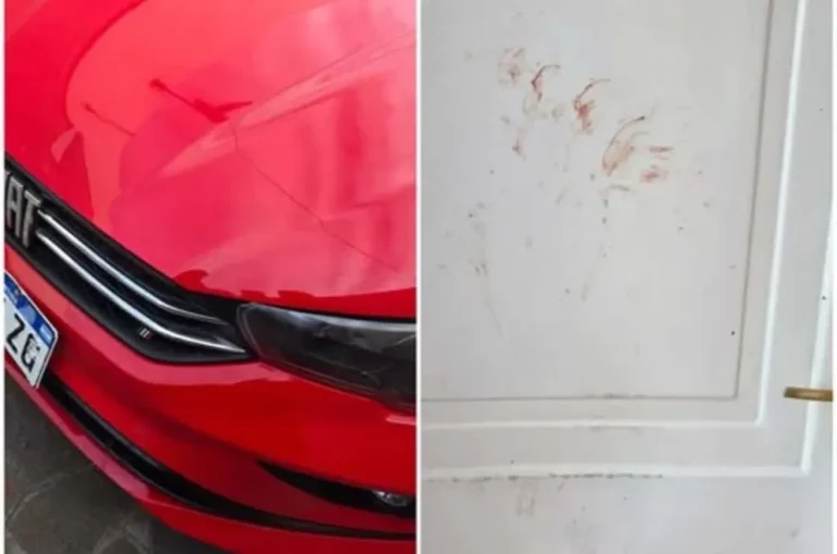 Destrozó una casa y un auto: fue capturado