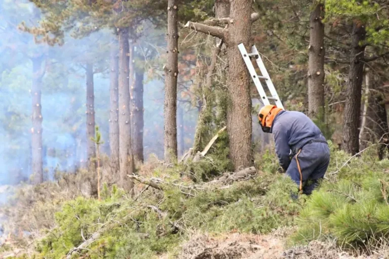 Esquel refuerza tareas de prevención de incendios forestales en sectores estratégicos