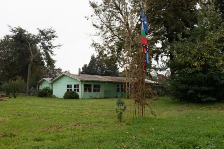 Niñez y lengua viva: jardines mapuche impulsan la revitalización del mapuzugun en la Araucanía