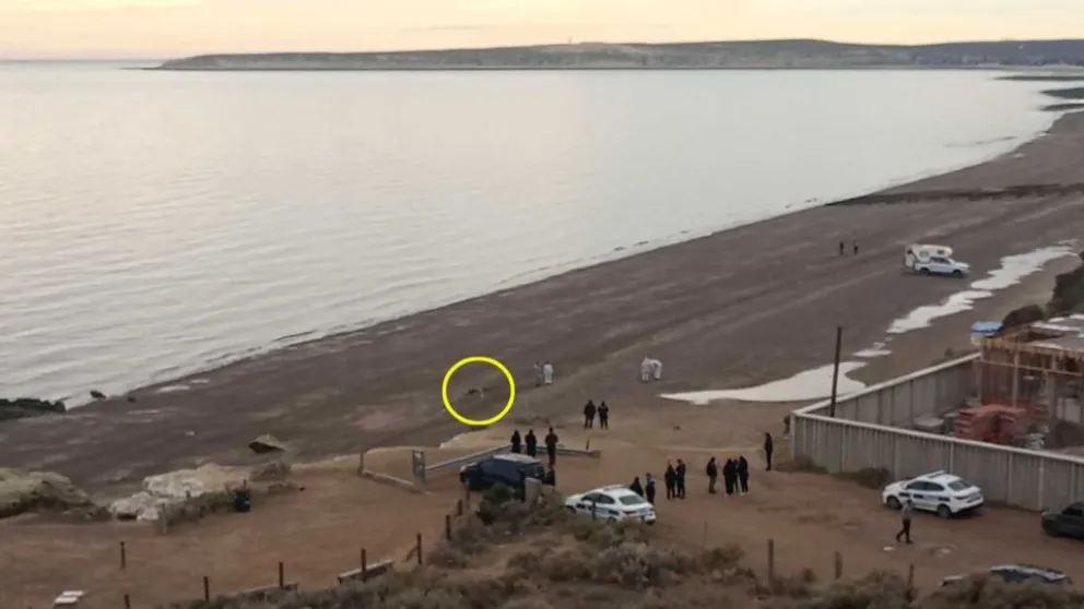Encontraron el cuerpo de una mujer detrás del Ecocentro de Madryn