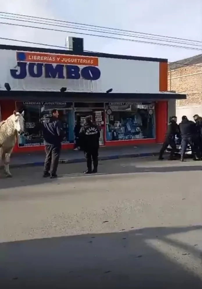 Se robó un caballo y lo paseaba por el centro de Esquel