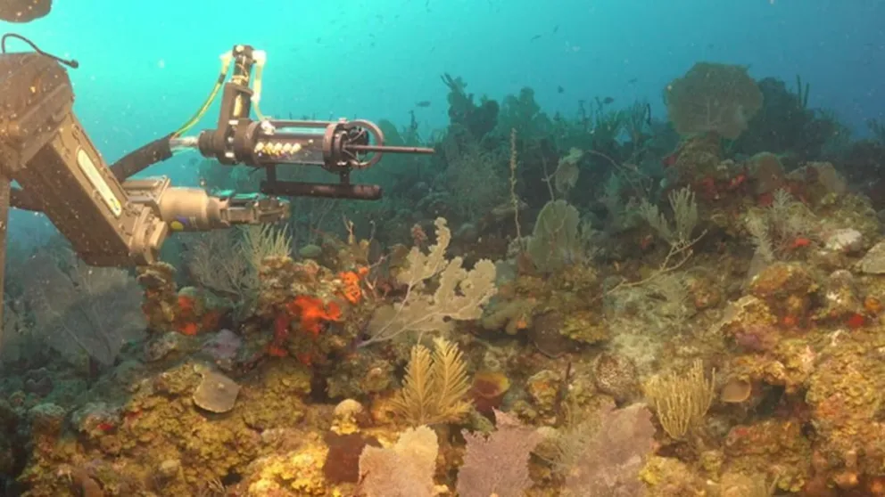 Exploración submarina argentina que cautiva en redes sociales