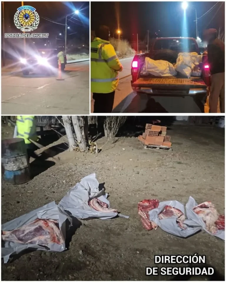 Interceptan camioneta con carne sin habilitación sanitaria en Diadema