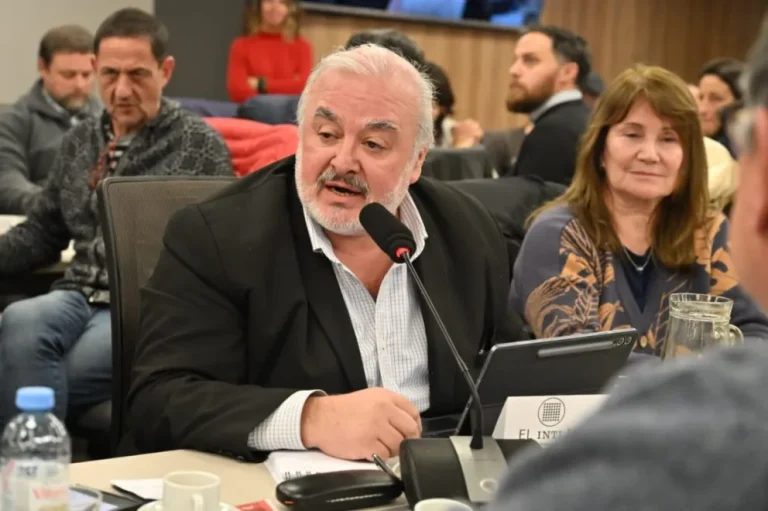 Zárate alertó en Diputados sobre el desmantelamiento del sistema científico nacional y su impacto en las provincias